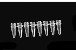 FC002 0.2ml Eight PCR Tubes